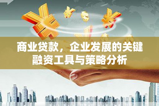 百色商业贷款，企业发展的关键融资工具与策略分析