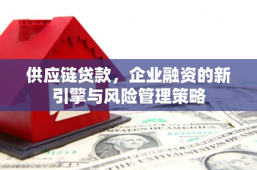 百色供应链贷款，企业融资的新引擎与风险管理策略