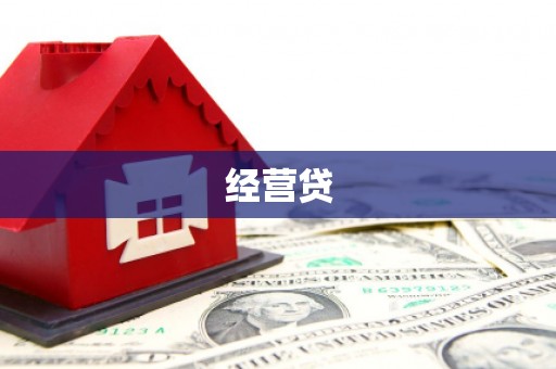百色经营贷