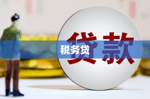 百色税务贷