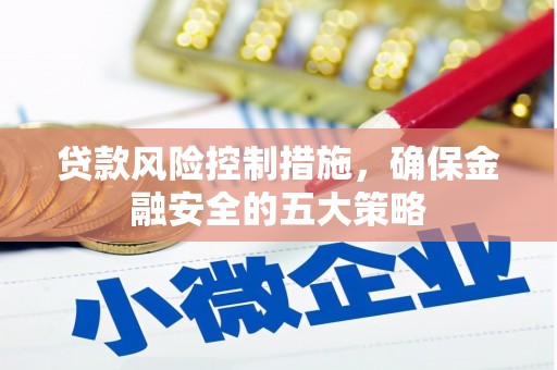 百色贷款风险控制措施，确保金融安全的五大策略