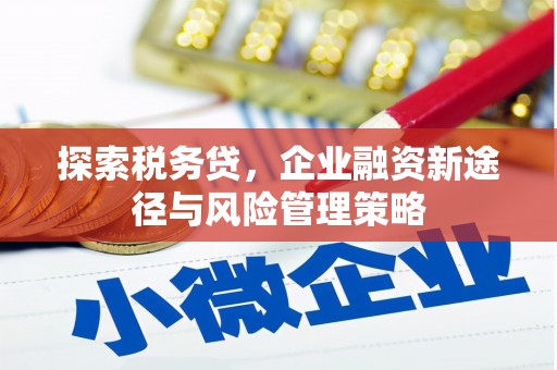 百色探索税务贷，企业融资新途径与风险管理策略