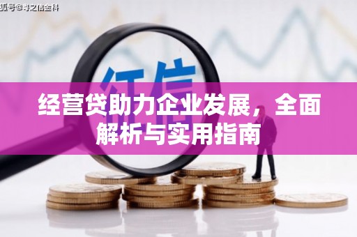 百色经营贷助力企业发展，全面解析与实用指南