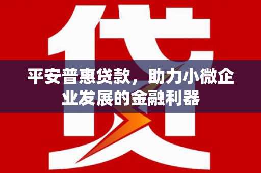百色平安普惠贷款，助力小微企业发展的金融利器