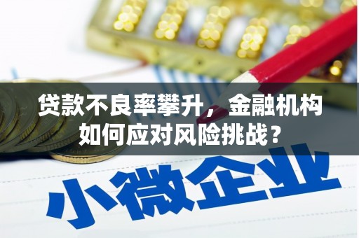 百色贷款不良率攀升，金融机构如何应对风险挑战？