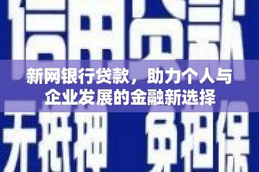 百色新网银行贷款，助力个人与企业发展的金融新选择