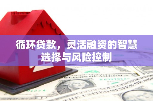 百色循环贷款，灵活融资的智慧选择与风险控制