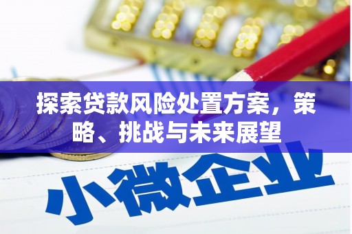 百色探索贷款风险处置方案，策略、挑战与未来展望