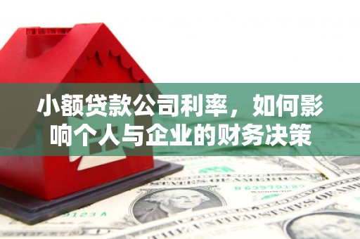 百色小额贷款公司利率，如何影响个人与企业的财务决策