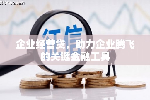 百色企业经营贷，助力企业腾飞的关键金融工具