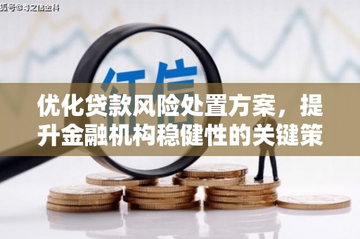 百色优化贷款风险处置方案，提升金融机构稳健性的关键策略