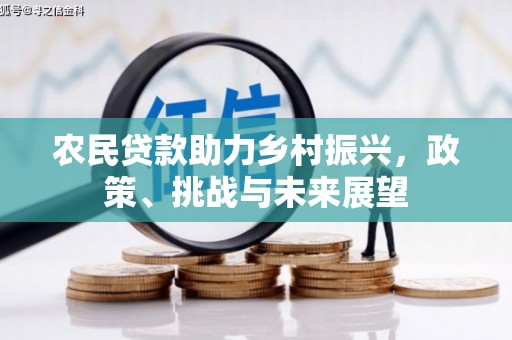 百色农民贷款助力乡村振兴，政策、挑战与未来展望