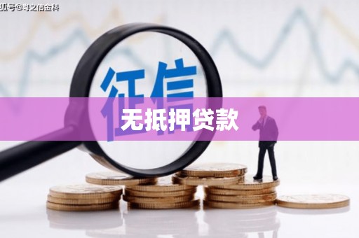 百色无抵押贷款
