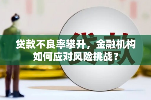 百色贷款不良率攀升，金融机构如何应对风险挑战？