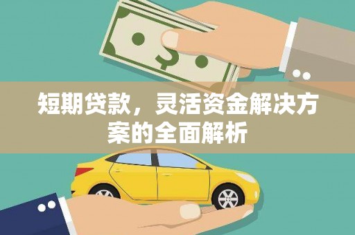 百色短期贷款，灵活资金解决方案的全面解析