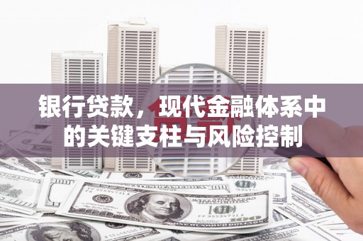 百色银行贷款，现代金融体系中的关键支柱与风险控制