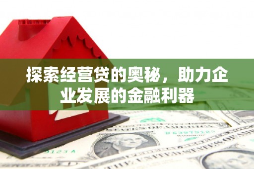 百色探索经营贷的奥秘，助力企业发展的金融利器