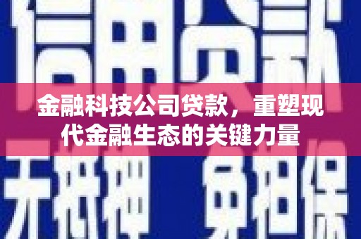 百色金融科技公司贷款，重塑现代金融生态的关键力量