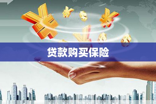 百色贷款购买保险