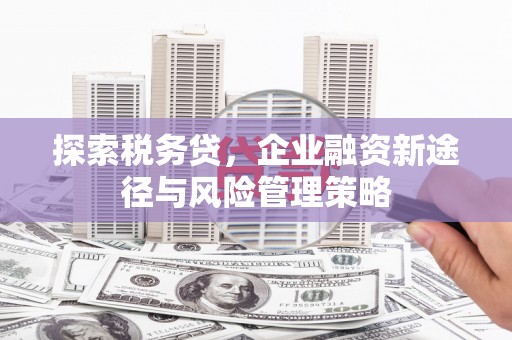 百色探索税务贷，企业融资新途径与风险管理策略
