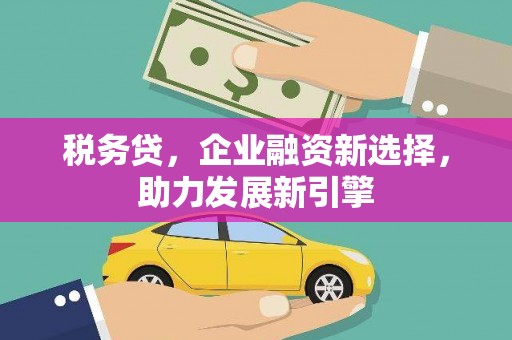 百色税务贷，企业融资新选择，助力发展新引擎