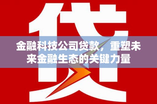 百色金融科技公司贷款，重塑未来金融生态的关键力量