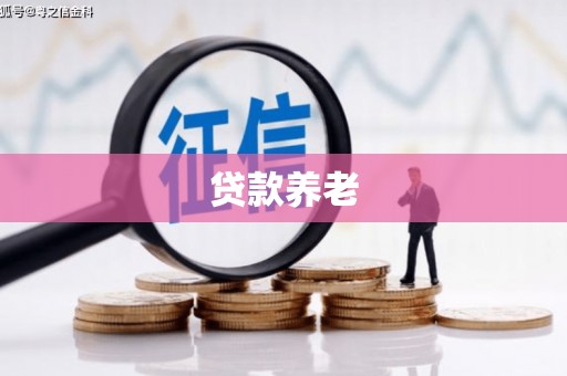 百色贷款养老