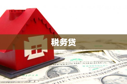 百色税务贷