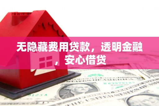 百色无隐藏费用贷款，透明金融，安心借贷