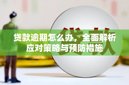 百色贷款逾期怎么办，全面解析应对策略与预防措施