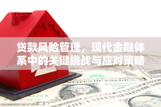 百色贷款风险管理，现代金融体系中的关键挑战与应对策略