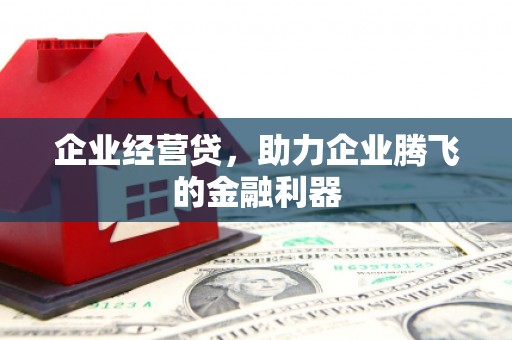 百色企业经营贷，助力企业腾飞的金融利器