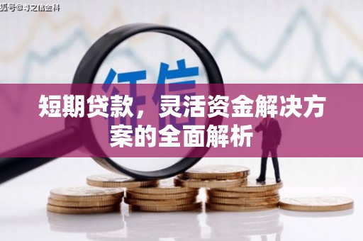 百色短期贷款，灵活资金解决方案的全面解析