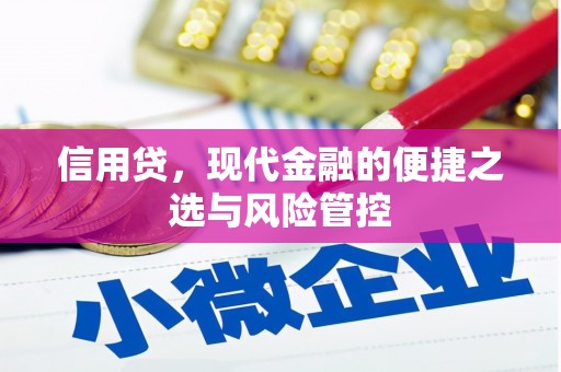 百色信用贷，现代金融的便捷之选与风险管控
