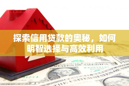百色探索信用贷款的奥秘，如何明智选择与高效利用
