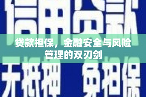百色贷款担保，金融安全与风险管理的双刃剑