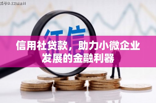 百色信用社贷款，助力小微企业发展的金融利器