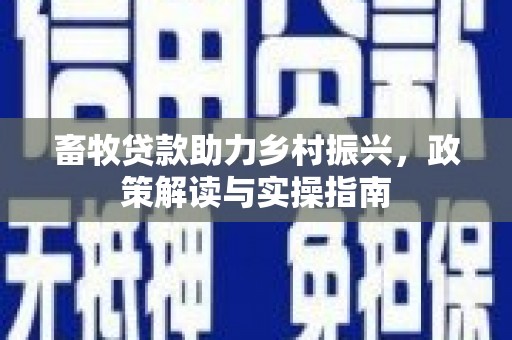 百色畜牧贷款助力乡村振兴，政策解读与实操指南