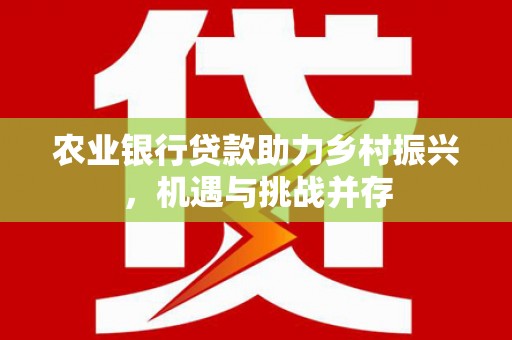 百色农业银行贷款助力乡村振兴，机遇与挑战并存