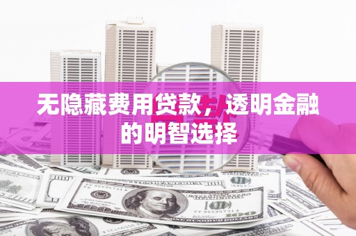 百色无隐藏费用贷款，透明金融的明智选择