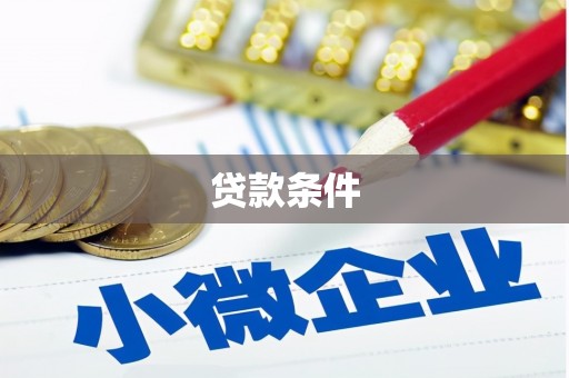 百色贷款条件