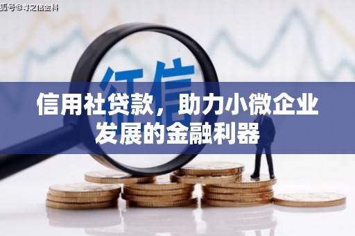 百色信用社贷款，助力小微企业发展的金融利器