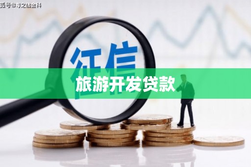 百色旅游开发贷款