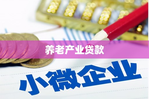 百色养老产业贷款