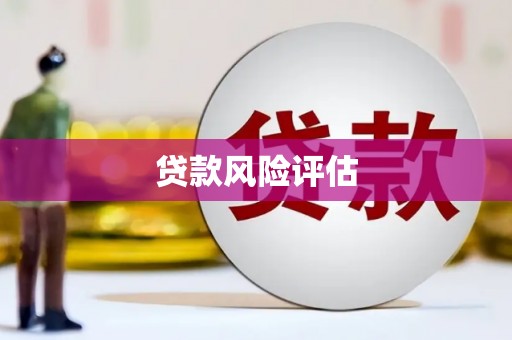 百色贷款风险评估