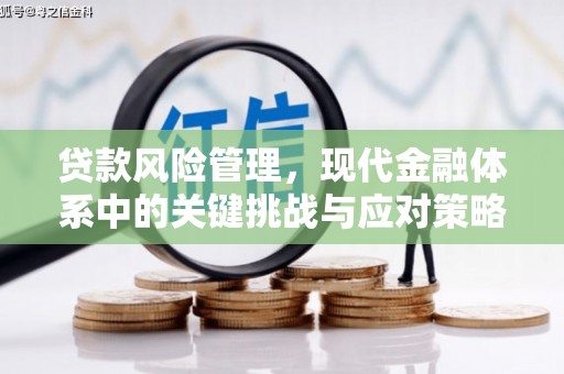 百色贷款风险管理，现代金融体系中的关键挑战与应对策略