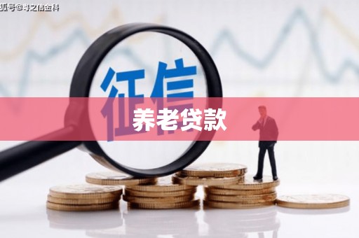百色养老贷款