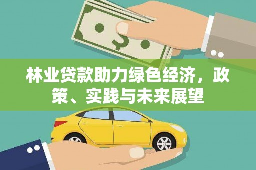 百色林业贷款助力绿色经济，政策、实践与未来展望