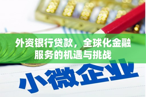 百色外资银行贷款，全球化金融服务的机遇与挑战
