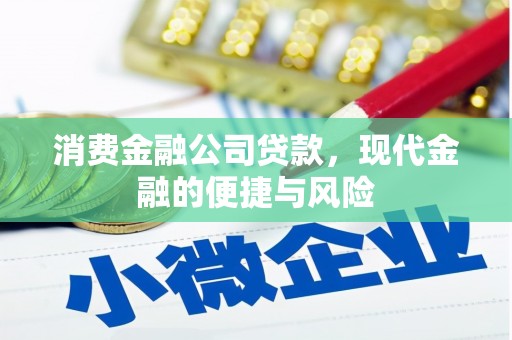 百色消费金融公司贷款，现代金融的便捷与风险
